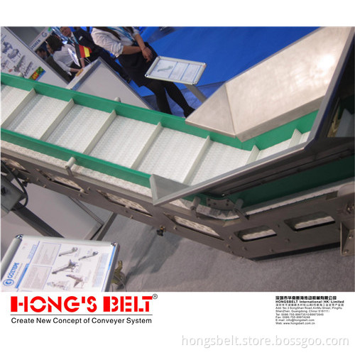 Smart Homgsbelt Food Grade Moduar Belt